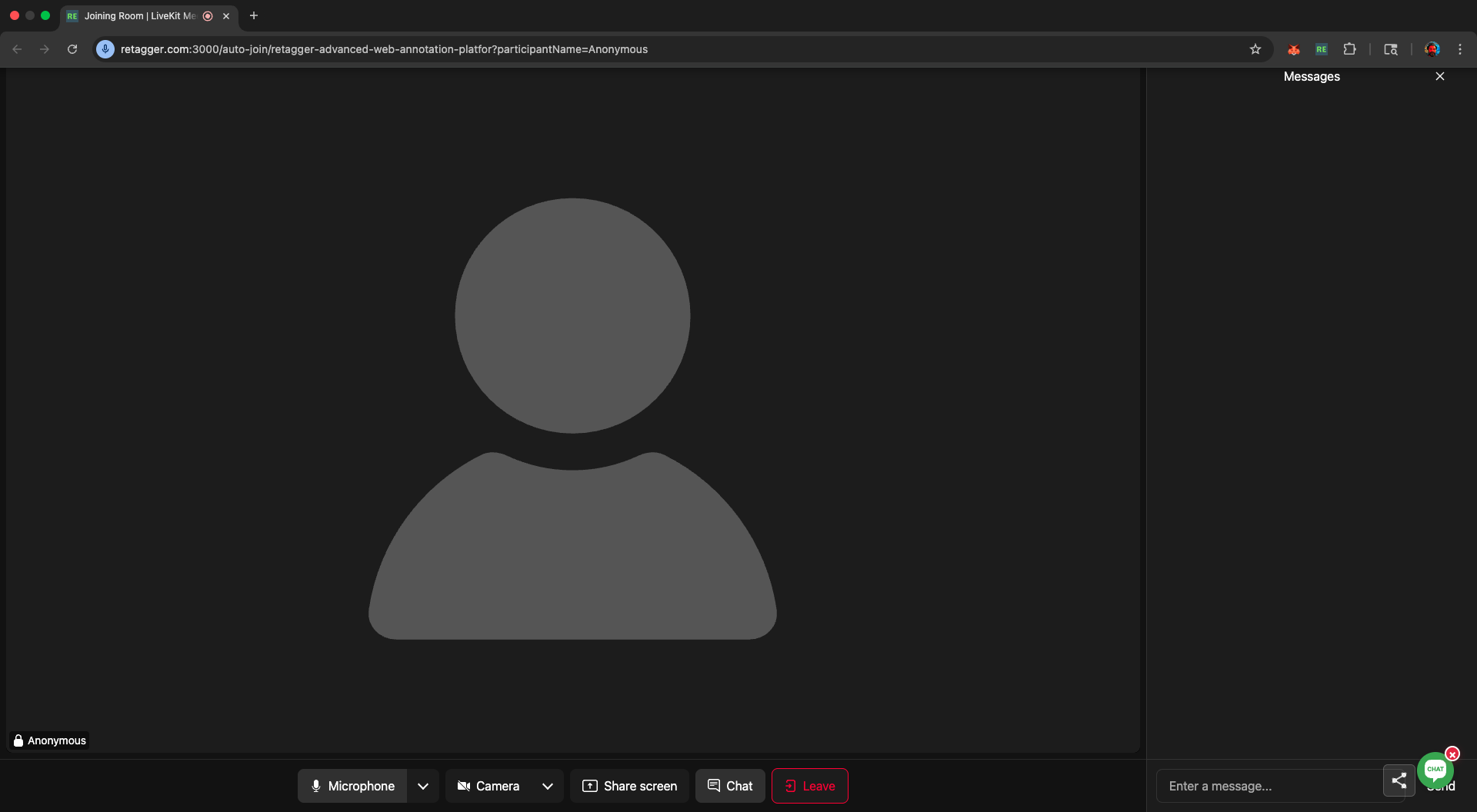 Video Conference Interface
